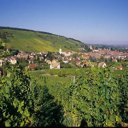 Le Kosy * Krautergersheim